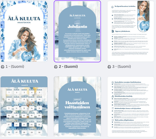 💸 RAHARAUHA – Budjetointi- ja säästöpaketti arkeen PDF-työkirja